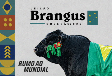 LEILÃO BRANGUS - COLEÇÃO 2025